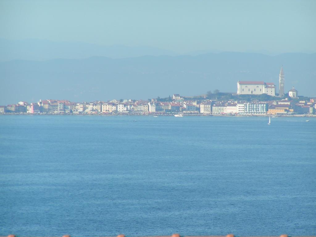 Apartments Salvore Crveni Vrh Bagian luar foto